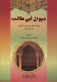 ديوان أبي طالب