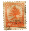 Stamp Story: Cedar Orange Sticker Replica 