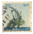 Stamp Story: Cyclama Flower Sticker Replica  