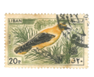 Stamp Story: Canard Yellow Sticker Replica 
