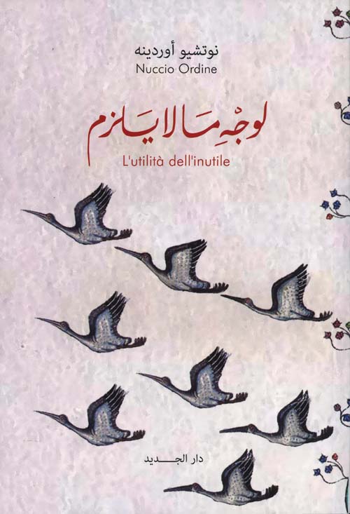 لوجه ما لا يلزم