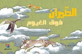 الطيران فوق الغيوم