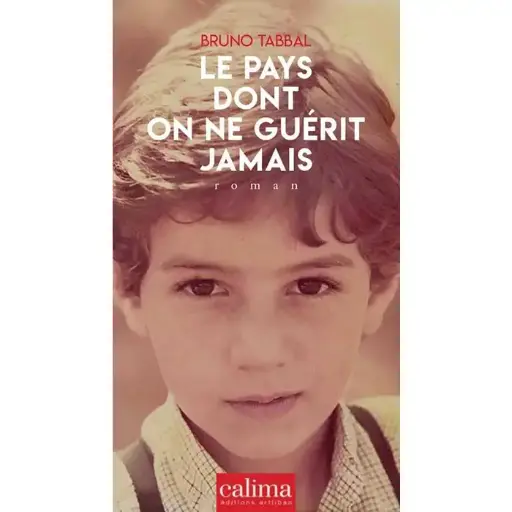 Le Pays Dont On Ne Guérit Jamais 