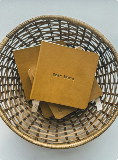 Dear Brain (Small Square Brown Notebook)