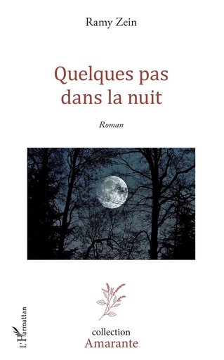 Quelques pas dans la nuit 