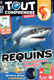 Tout Comprendre Junior - Issue 161