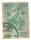 Stamp Story: Jasmine Flower Sticker Replica 