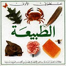 خطوتي الأولى: الطبيعة