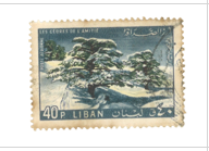 Stamp Story: Cedar Blue Design Sticker Replica