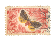 Stamp Story: Butterfly Red Sticker Replica